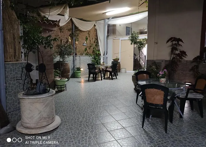 Trifylia * キパリシア